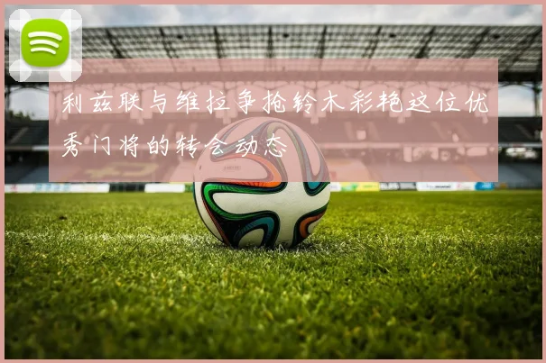 利兹联与维拉争抢铃木彩艳这位优秀门将的转会动态